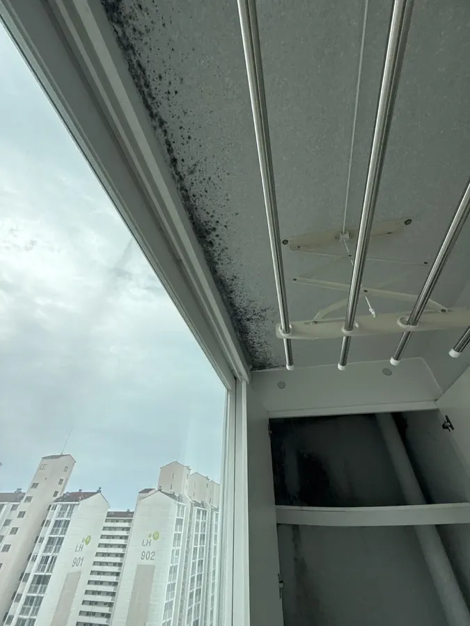 벽면과 천장 곰팡이 흔적 (정리 전)